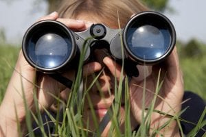 Blick in die Zukunft
