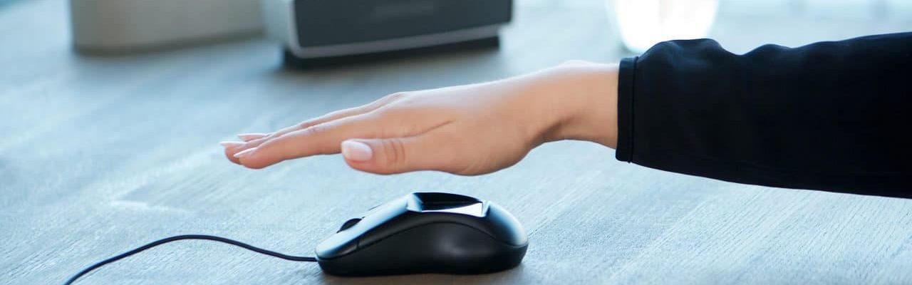 PalmSecure Login PalmSecure Login